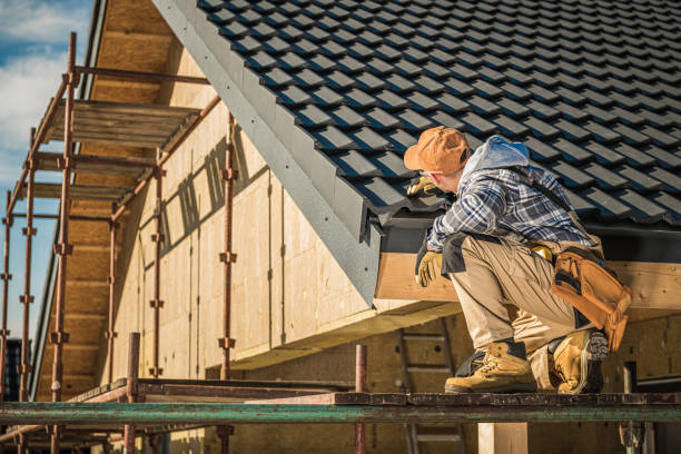 Best Shingle Roofing Installation  in Progreso, TX